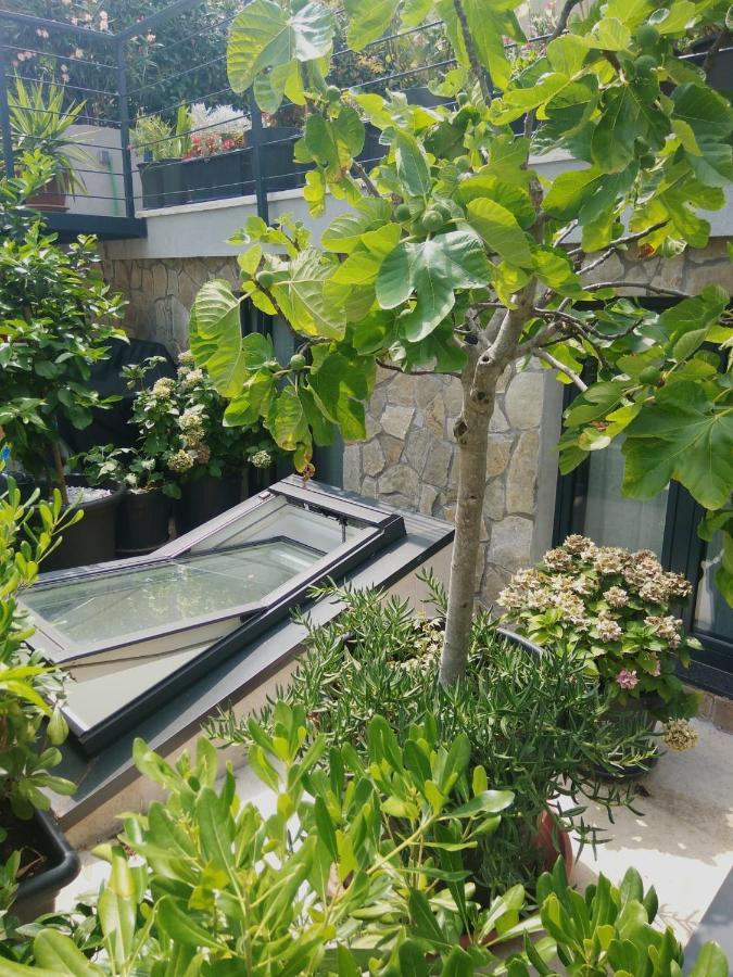 Artspace Location-Opatija-3 Bedroom House With Rooftop Garden By Beach Exteriér fotografie